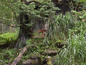 DSC_2536.JPG
