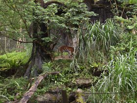 DSC_2537.JPG