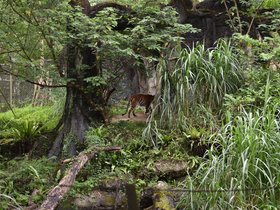 DSC_2538.JPG