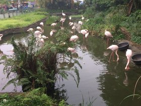 IMG_1014.JPG