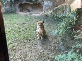 IMG_1144.JPG