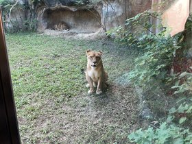 IMG_1145.JPG