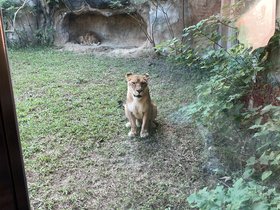 IMG_1146.JPG