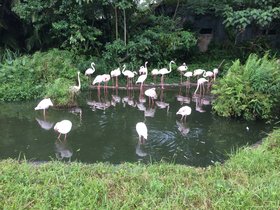 IMG_5390.JPG