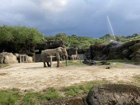 IMG_6848.JPG