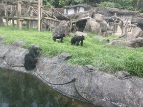 IMG_6858.JPG