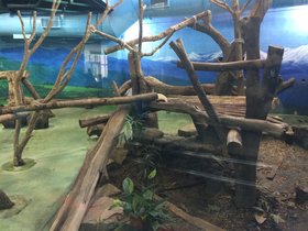IMG_8101.JPG