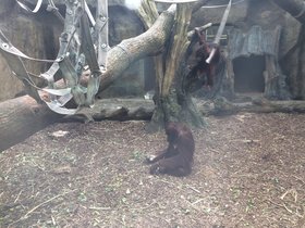 IMG_8113.JPG