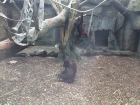 IMG_8114.JPG