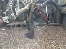 IMG_8115.JPG