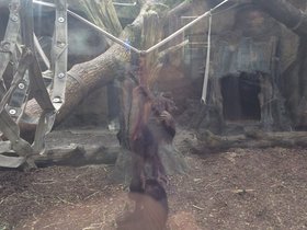 IMG_8116.JPG