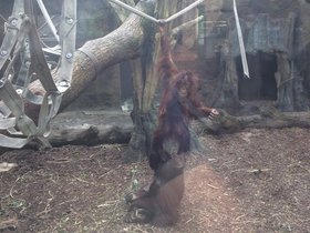 IMG_8117.JPG
