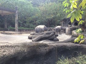 IMG_8194.JPG