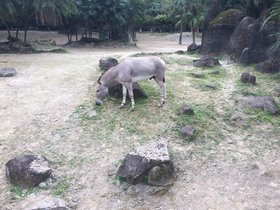 IMG_8260.JPG