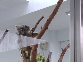 P_20200606_160227.jpg