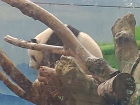 P_20200606_161133.jpg