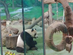 P_20200606_161318.jpg