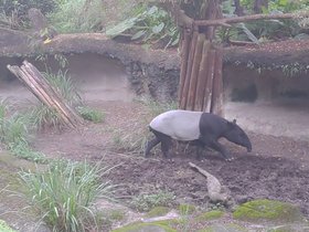 P_20200606_164013.jpg