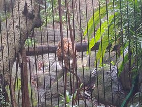 P_20200606_164307.jpg