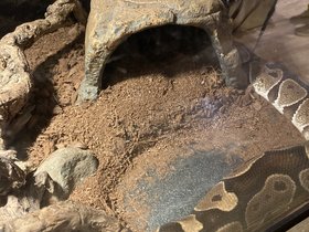 IMG_2867.JPG