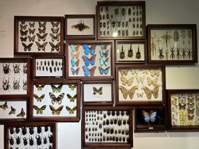 IMG_2872.JPG