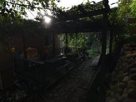 DSC_4446.JPG