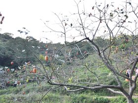 DSC_4458.JPG