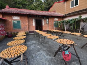 DSC_4478.JPG