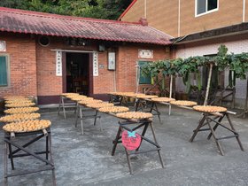 DSC_4479.JPG