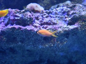 DSC_2394.JPG