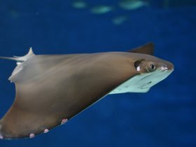 DSC_2428.JPG