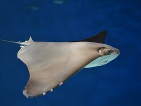 DSC_2430.JPG