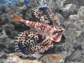 DSC_2443.JPG