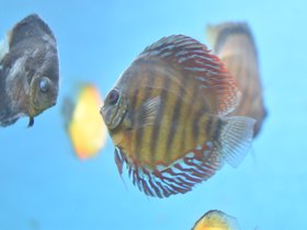 DSC_2458.JPG