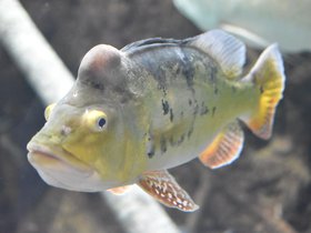 DSC_2466.JPG