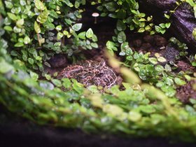 DSC_2478.JPG