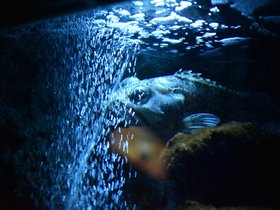 DSC_2506.JPG