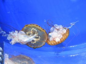 DSC_2541.JPG
