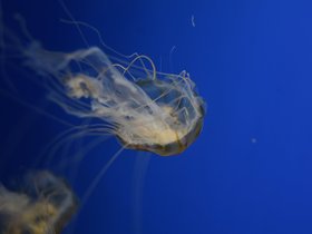 DSC_2546.JPG