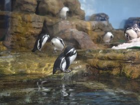 DSC_2606.JPG