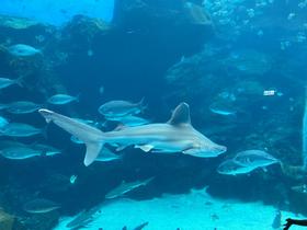 IMG_7969.jpg