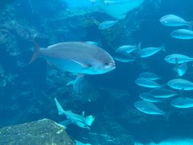 IMG_7970.jpg