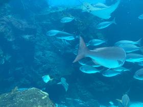 IMG_7971.jpg