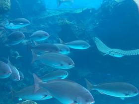 IMG_7973.jpg