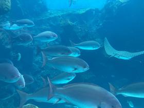 IMG_7974.jpg
