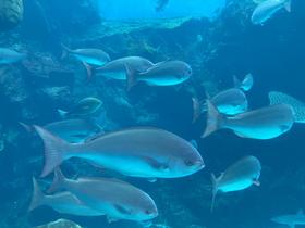 IMG_7975.jpg