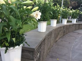 IMG_0134.JPG