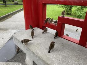 IMG_8125.jpg