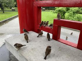 IMG_8126.jpg