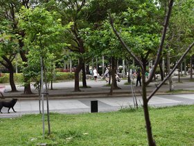 DSC_1412.JPG